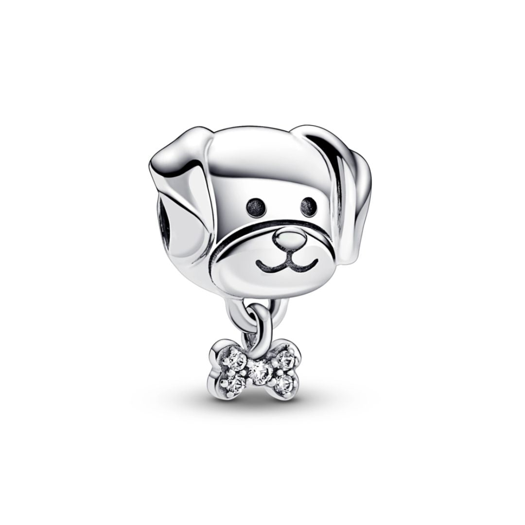 Pandora Moments Pet Dog & Bone hela, hopea, 792254C01