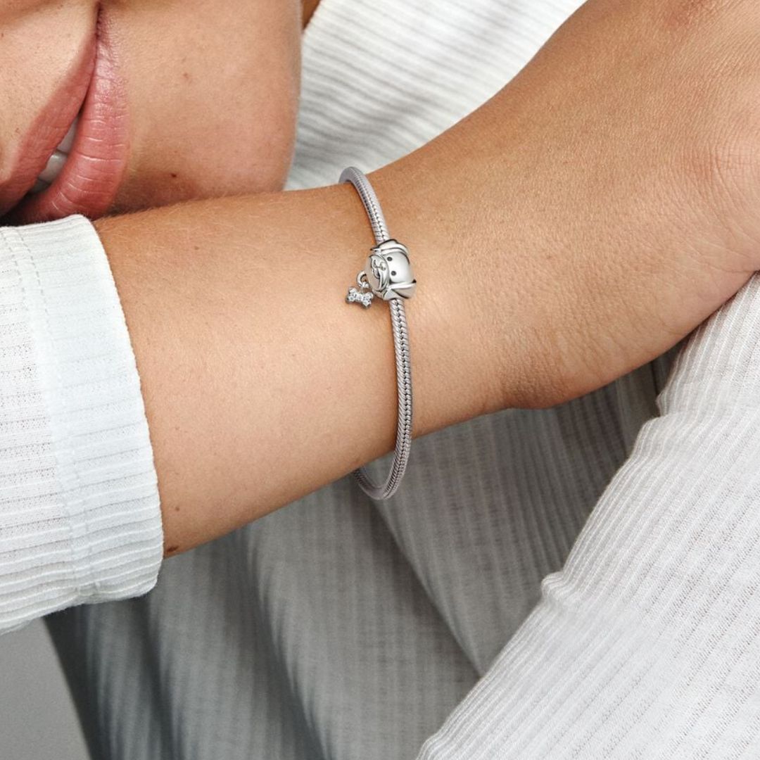 Pandora Moments Pet Dog & Bone hela, hopea, 792254C01