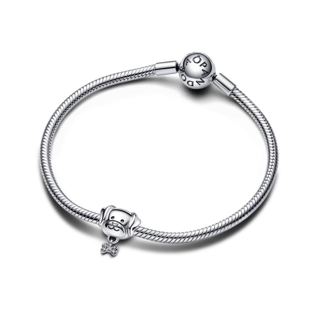 Pandora Moments Pet Dog & Bone hela, hopea, 792254C01