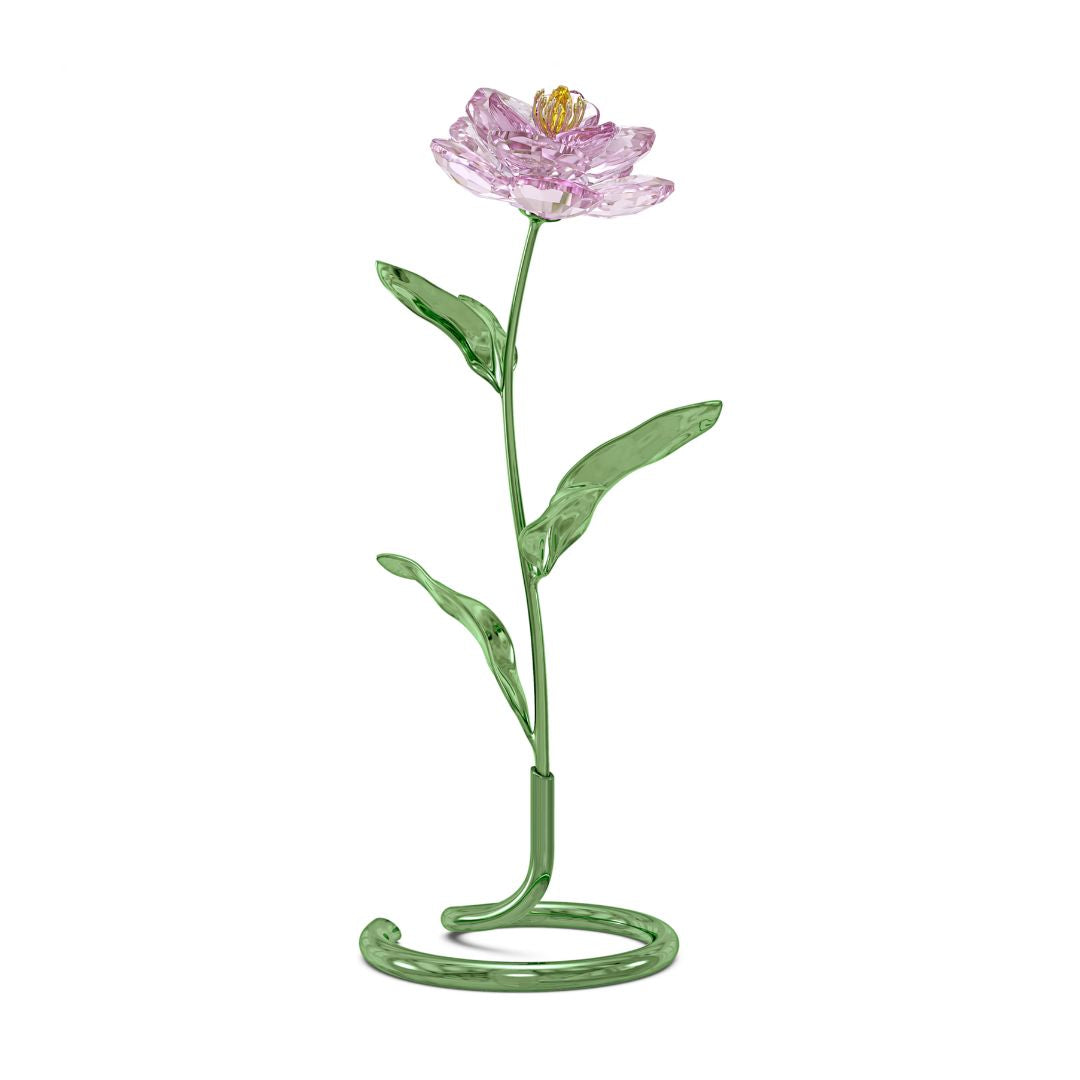 Swarovski Florere Peony Crystal Decoration 5668065