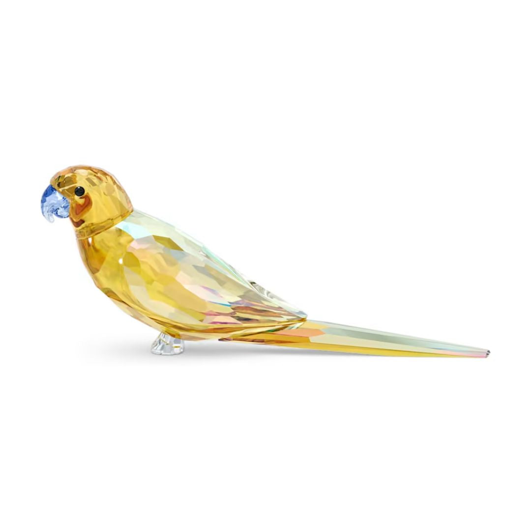 Swarovski Jungle Beats Yellow Parakeet Lechee kristallifiguuri 5619217