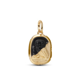 Pandora ME Owl Medallion hela, keltakullattu, 764805C01