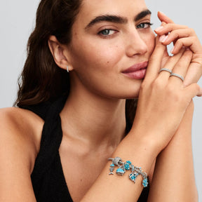 Pandora Moments Openwork Fish hela, hopea, 793819C01