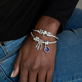 Pandora Moments Polished Feathered Clip lukkopala, hopea, 791752