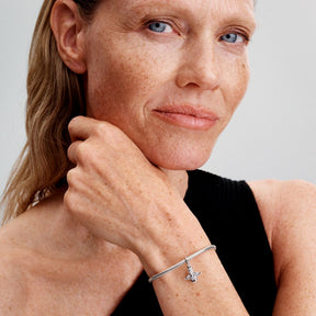 Pandora Moments Sparkling Angel hela, hopea, 793598C01