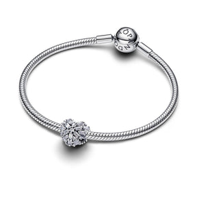 Pandora Moments Sparkling Heart hela, hopea, 794240C01