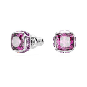 Swarovski Birthstone February korvakorut, vaalea metalli ja pinkit kristallit 5660797