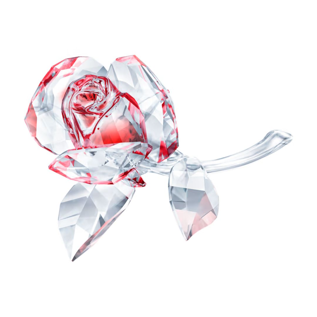 Swarovski Blossoming Rose, Punainen, kristallifiguuri 5428561