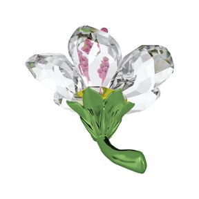 Swarovski Florere Hibiscus kristallikoriste, pieni, 5690534