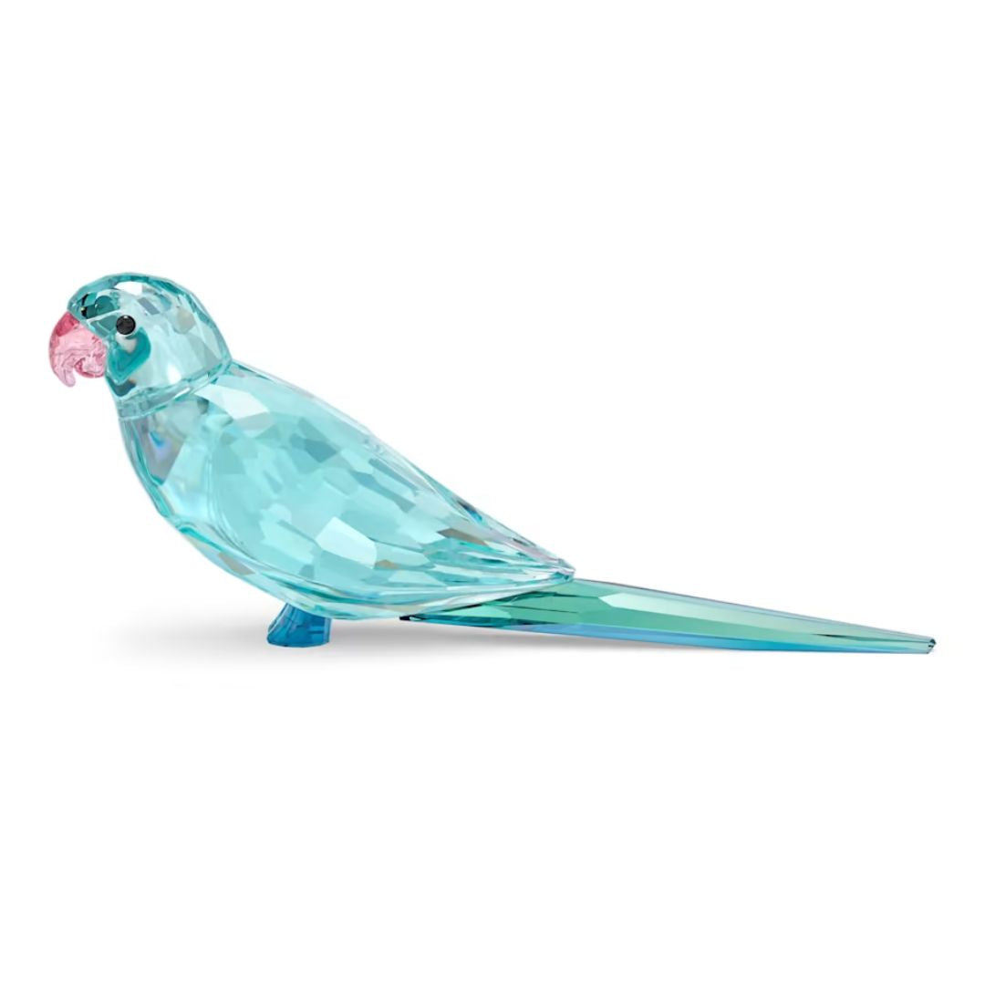 Swarovski Jungle Beats Blue Parakeet Paco Crystal Figure 5574519
