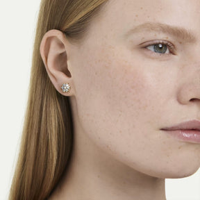 Swarovski Magic korvakorut, keltakullattu ja kirkkaat zirkonit, 5757816