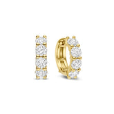 TI SENTO rengaskorvakorut, keltakullattua hopeaa ja zirkonit, 78023ZY