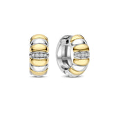 TI SENTO rengaskorvakorut, keltakullattua hopeaa ja zirkonit, 78024ZY